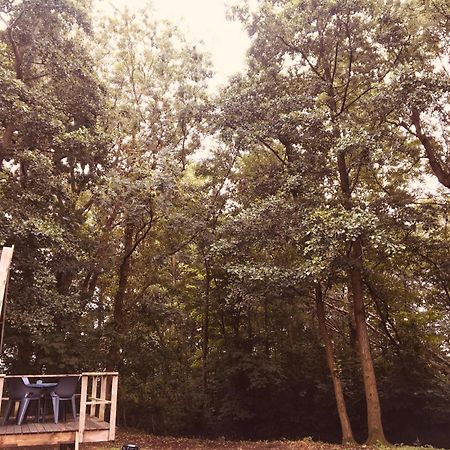 Basic Lodge In Nature Schagerbrug Exterior photo